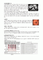 성인간호 결장암 7페이지