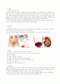 성인간호학실습_ER_요로결석 케이스 스터디 2페이지