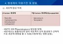 대학병원 출신 간호사가 작성한 (균주별 항생제 사용) 22페이지