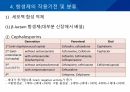 대학병원 출신 간호사가 작성한 (균주별 항생제 사용) 26페이지