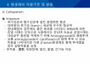 대학병원 출신 간호사가 작성한 (균주별 항생제 사용) 34페이지