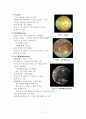 목성에 대한 레포트 5페이지
