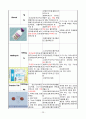 여성간호실습, A+, pyometra, 자궁축농증 25페이지