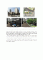 도시계획 연구발표 자료 (재래시장-남대문시장을 중심으로) 23페이지