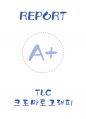 [A+] TLC 크로마토그래피 예비 보고서 1페이지