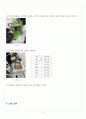 [A+] 흙 입자의 입도 분포-체분석 레포트 6페이지