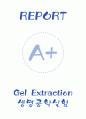 [A+] Gel Extraction예비레포트 1페이지