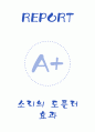 [A+] 도플러효과 예비레포트 1페이지