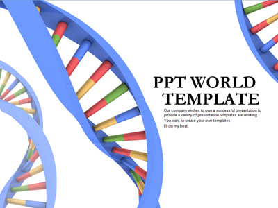 유전자 DNA 템플릿(자동완성형 포함)