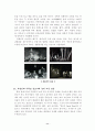 장승에 대하여 13페이지