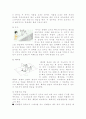 배드민턴의 기초 기술 연습방법 22페이지