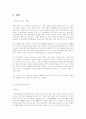 브라질무역제도 10페이지