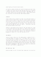브라질무역제도 25페이지