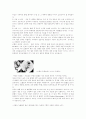 뇌출혈 (cerebral hemorrhage)  2페이지