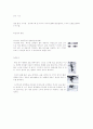 스키의 기초기술 4페이지