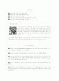 운동상해의 원인과 종류 4페이지