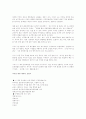 미국인의 가치관 4페이지