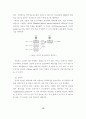 공개키 기반 구조의 PKI 시스템(암호화)에 대한 연구 10페이지