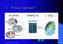 Proxy Server 3페이지