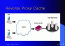 Proxy Server 8페이지