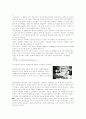 전자화폐 전자금융 인터넷 9페이지