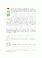 조선시대의 복식.... 2페이지