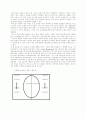도입사례:Taipans Dilemma 5페이지