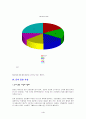 영상,음반 산업 4페이지