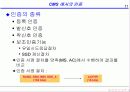 CDMA 인증 11페이지