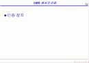 CDMA 인증 12페이지