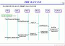 CDMA 인증 18페이지