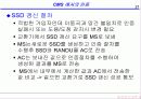 CDMA 인증 21페이지