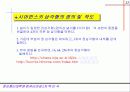 프랙탈이란 23페이지