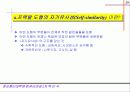 프랙탈이란 29페이지