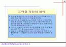프랙탈이란 36페이지