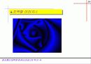 프랙탈이란 39페이지