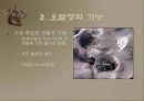 갯벌에 대하여 7페이지