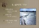 갯벌에 대하여 8페이지