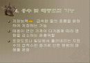 갯벌에 대하여 9페이지