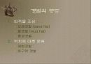 갯벌에 대하여 10페이지