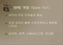 갯벌에 대하여 11페이지