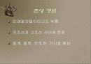 갯벌에 대하여 13페이지
