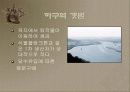 갯벌에 대하여 14페이지