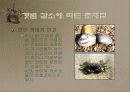 갯벌에 대하여 21페이지