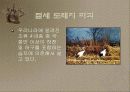 갯벌에 대하여 22페이지
