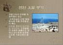 갯벌에 대하여 23페이지