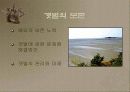 갯벌에 대하여 25페이지