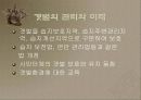 갯벌에 대하여 30페이지