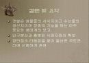 갯벌에 대하여 31페이지