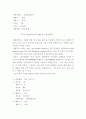 채팅 언어의 특성에 관한 연구 22페이지
